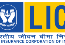 5 Best Lic Plans for Salaried Employees