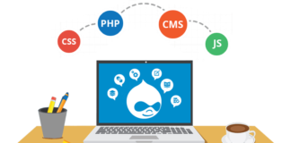 Which Is The Best Drupal Web Development Company?